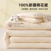Modelo Nuevo 2026 Núcleo de Edredón 100% Algodón de Xinjiang, Edredón de Invierno, Edredón de Primavera y Otoño, Edredón de Verano, Edredón para Aire Acondicionado, Edredón para Dormitorio Estudiantil