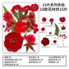 Nuevo Paquete de Materiales DIY Hecho a Mano en Relieve Maquillaje Estilismo Foto Personal Maquillaje Facial Flores Secas Especímenes de Plantas en Relieve