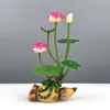 Decoración de Plato de Sashimi, Guarnición de Plato Frío para Catering de Hotel, Decoraciones de Flores y Hierbas de Plástico para Platos, Adornos Pequeños, Flor de Ciruelo de Invierno