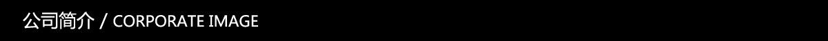 公司简介