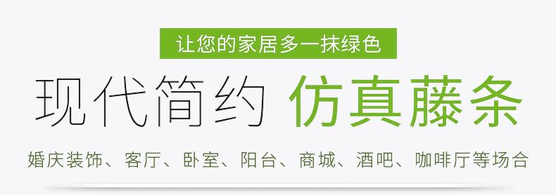 仿真水果条-详情页-_01.jpg