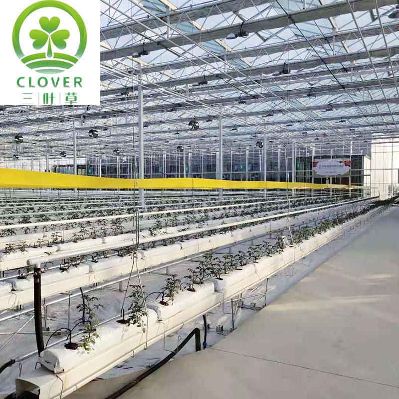 微信图片_202001091726312