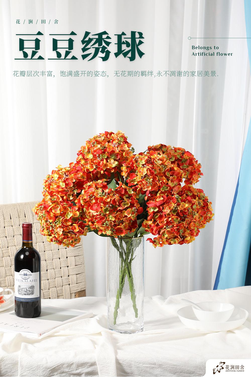 5头豆豆绣球-7.15_01.jpg