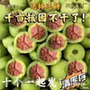 Sombrero oficial verde con cabeza de león y patrón de qilin de este edificio, nueces wenwan de piel verde, apostar por la piel verde podría producir Ma Taibao de tres puntas, de cuatro puntas