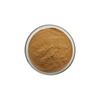 Flavonoides de Espino Blanco 80% Quercetina Extracto de Espino Blanco Extracto de Hoja de Espino Múltiples Especificaciones Auténtico En Stock Listo Envío Gratis