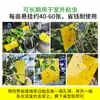 Popular Tablero Trampa Pegajoso para Insectos de Comercio Exterior, Tablero Pegajoso Amarillo de Doble Cara para Insectos Pequeños Voladores, Trampa para Huertos, Pegatina Mata Moscas para Invernaderos, Papel Pegajoso Fuerte para Moscas