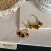 Pendientes Maillard Color Café Otoño Temprano para Mujer, Pendientes de Lujo Accesible Gama Alta Pendientes Estilo Caliente Nuevo 2025 Pendientes Elegantes