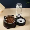 Comedero para Gatos con Tapa Inclinada, Comedero para Perros, Comedero para Comida de Gato, Acero Inoxidable de Doble Compartimento, Relleno Automático de Agua para Mascotas, Dispositivo de Alimentación de Agua Todo en Uno.