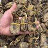 Especialidad de Yunnan Zhaotong Tianma 500g Primavera Tianma a Granel en Stock Venta al por Mayor Profesional Tianma Negro Gran Cantidad Precio Excelente