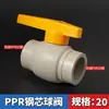 Accesorios para tuberías de agua PPR, válvulas, válvula de bola con núcleo de acero, válvula de bola de doble unión por termofusión, accesorios de válvula, interruptor de tubería de agua fría totalmente plástico