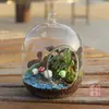 Vaso de Vidro Pendurado, Vaso para Suculentas, Garrafa para Micro-Paisagismo, Garrafa Redonda Transparente Pendurada, Artigos para Casamento