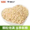Arroz de Sorgo Envasado al Vacío 500g Compra al por Mayor en Lotes Arroz Nuevo Granos Mixtos Venta Directa del Fabricante