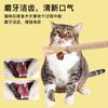 Brinquedo para Gato com Bola de Catnip para Dentição, Autoentretenimento, Durável e Resistente a Mordidas, Adequado para Filhotes e Gatos