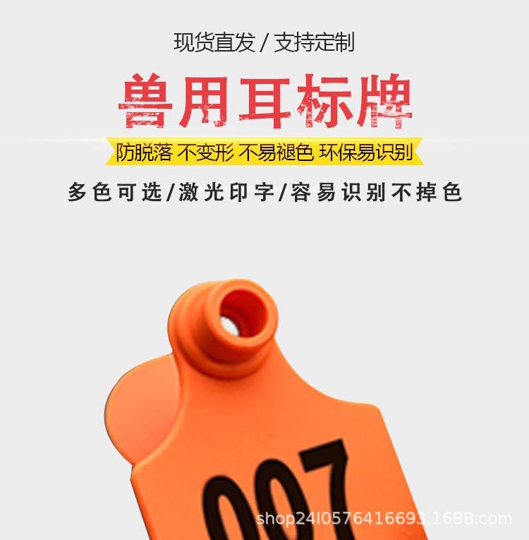 耳标_01.jpg