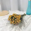 Gipsófila Rosa Ramo Seco Real de Año Nuevo Flor Eterna Decoración de Oficina Accesorios para el Hogar Estilo Ins Escandinavo