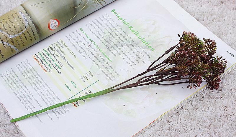 DSC04170.JPG