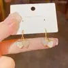 Brincos de concha com franjas frescos e simples com um design único, novos brincos de estilo primavera e verão para mulheres, atacado
