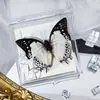 Foto de Espécime de Borboleta Real Porta-Retrato Caixa Transparente Ornamentos Estéreo Presente Ensino de Jardim de Infância Criativo Artesanal Adereços para Fotos