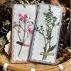 Flores reales flores prensadas tarjetas de felicitación de flores prensadas con tema de bosque, tarjetas de votos, tarjetas, regalos florales, marcapáginas, tarjetas de presentación, tarjetas de invitación y artículos decorativos
