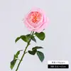 Flores artificiales con un toque de alta gama, rosas hidratantes, variedades Austin y Juliet, decoraciones de mesa, accesorios para fotografía, flores artificiales para bodas, transfronterizo