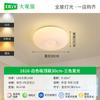 Lámpara de Techo para Dormitorio Grand View Garden, Iluminación Moderna Minimalista, Luz para Dormitorio Principal, Luz Cálida y Romántica para Habitación Infantil 357L
