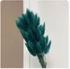 Liquidação de Fábrica Flores Secas de Yunnan Capim Rabo de Coelho Flores Reais Capim Rabo de Raposa Amazon Flores Imortais Capim Rabo de Coelho Flores Secas