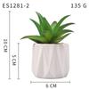 Planta Suculenta Simulada Macetas, Decoración de Muebles de Oficina Nórdicos, Nuevas Suculentas Bonsái Simuladas de Alta Calidad para el Hogar