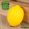 Modelo de Fruta Espuma Plástica Maçã Adereço Crianças Vegetal Brinquedo Educacional Banana Estatueta Uvas Falsas Decoração