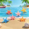 Micro-paisaje Creativo Realista Estrellas de Mar de Colores Acuario Marino Paisajismo DIY Accesorios Decorativos Eco-botella Pequeños Adornos