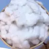 Semillas de algodón sueltas, cultivadas en granja, sin procesar, con cáscara, para bodas, de cinco pétalos, puramente cultivadas en casa