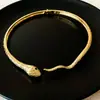 Collar Colgante Geométrico Irregular Transfronterizo Europeo y Americano Lujo Ligero Moda de Gama Alta Diseño Gargantilla Collar de Nicho para Mujeres