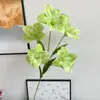 2026 Nuevo Modelo Plantas Verdes Artificiales Hierba de Espárrago Asparagus Asparaginea Decoración de Boda Flores Falsas Verdes Paisajismo Fotografía Plantas Verdes Estilo Bosque