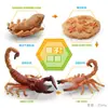Juguete modelo de animal pequeño simulación ciclo de vida crecimiento rana tortuga pollo Montessori material didáctico preescolar venta al por mayor