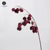 Venta directa de fábrica: flores artificiales y frutos secos de la linterna de algarrobo, flores de Año Nuevo Chino para decoración del hogar, fruta de la fortuna
