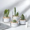 Jarrón de Vidrio de Borosilicato Simple al por Mayor para Suculentas, Maceta de Paisaje Hidropónico, Botella de Jardinería Cilíndrica Transparente para Cactus