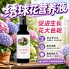Solución Nutricional Especial para Hortensias para Brotación y Enraizamiento Fertilizante Fertilizante Especial para Plantas de Maceta de Hortensia Solución Líquida Fertilizante