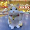 Le Meow Cerâmica Pintada Forno Yakushi Japonês Genuíno Ornamentos Gato da Sorte Cofre Gato