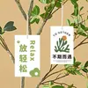 Etiqueta de planta verde Gracias librito rojo tarjeta decorativa de网红 tag de mantenimiento de maceta etiqueta de ramo de flores diseño