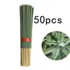 Incienso de Varilla de Bambú con Salvia Blanca de 22 cm Adecuado para Camping al Aire Libre Estilo Repelente de Mosquitos Exclusivo de Amazon Xiyin Temu