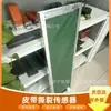 Gvy200 Sensor de Lágrimas para Minería a Prueba de Explosiones y Polvo Interruptor de Lágrimas de Tipo de Contacto