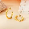 Brincos Outono e Inverno 2024 Moda Elegante Estéreo High-End Brincos Argola Fio Torcido Anel Liso Aço Titânio Feminino Estiloso