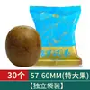 Tienda Oficial Auténtica de Luo Han Guo Especialidad de Guilin Luo Han Guo Yongfu No Silvestre Té Auténtico de Luo Han Guo de Guangxi