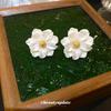 Pendientes de flor de camelia de resina con aguja plateada para mujer, estilo coreano ins, pendientes simples, diseño de nicho, pendientes versátiles, venta al por mayor