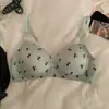 Ropa interior sin costuras para niña transfronteriza, Push-up para senos pequeños, Cómodo, Dulce, Fino, Cómodo Sujetador transpirable con lazo para estudiante