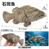 Simulação transfronteiriça modelo animal cognição oceânica peixe dourado piranha peixe-voador baiacu peixe-pedra peixe-borboleta brinquedo