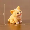 Figuritas de perros blancos, diminutas y adorables, en una caja sorpresa, perfectas como decoraciones de jardín, accesorios u pequeños adornos para tu coche o escritorio