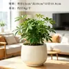Vaso de Cerâmica para Flores Transfronteiriço Grande Estilo Creme Orquídea Borboleta Vaso Especial Respirável Doméstico Planta Verde Suculenta Orquídea Planta em Vaso
