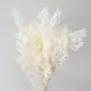 Venta al por mayor de Flores de Pino Inmortalizadas para Flores Secas Transfronterizas, Productos Florales DIY, Ramos, Decoración del Hogar, Arreglos Florales con Flores Reales, Yunnan