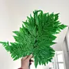 Hojas de Helecho Alpino Eterno al por Mayor del Fabricante: Hojas de Helecho Alpino Doradas, Flores Inmortales, Ramos de Flores Secas, Decoración de Bodas, Hierba Decorativa