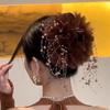 Canruo Estrelas 2024 Outono e Inverno Novo Prendedor de Cabelo Shark Clip Fofo com Franjas de Contas Alto Padrão Luxo Leve Acessórios de Cabelo Versáteis